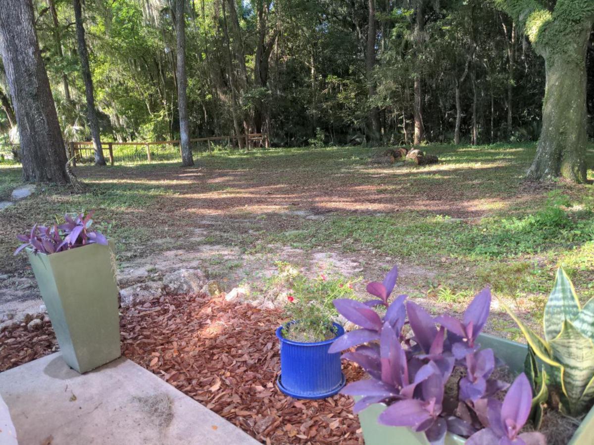 Micanopy Countyline Cottages Exteriör bild